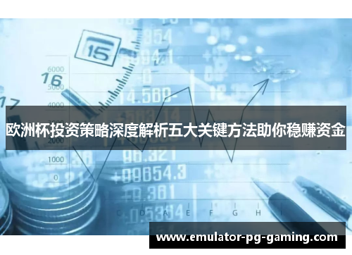 欧洲杯投资策略深度解析五大关键方法助你稳赚资金