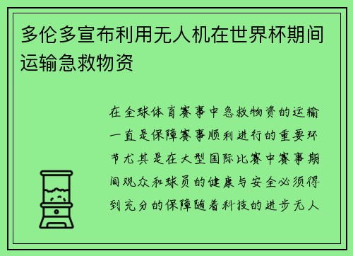 多伦多宣布利用无人机在世界杯期间运输急救物资